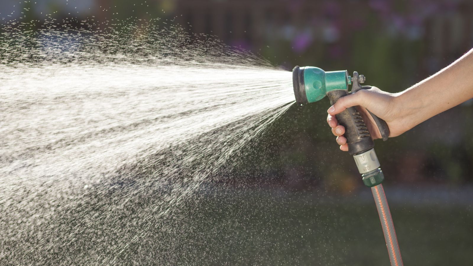 A shot of a person's hand holding a watering hose with a green nozzle to water plants and flowers in a well lit area outdoors