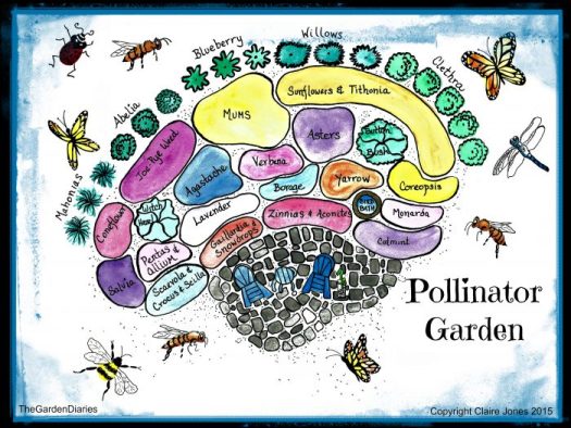 Sample plan of a pollinator garden.