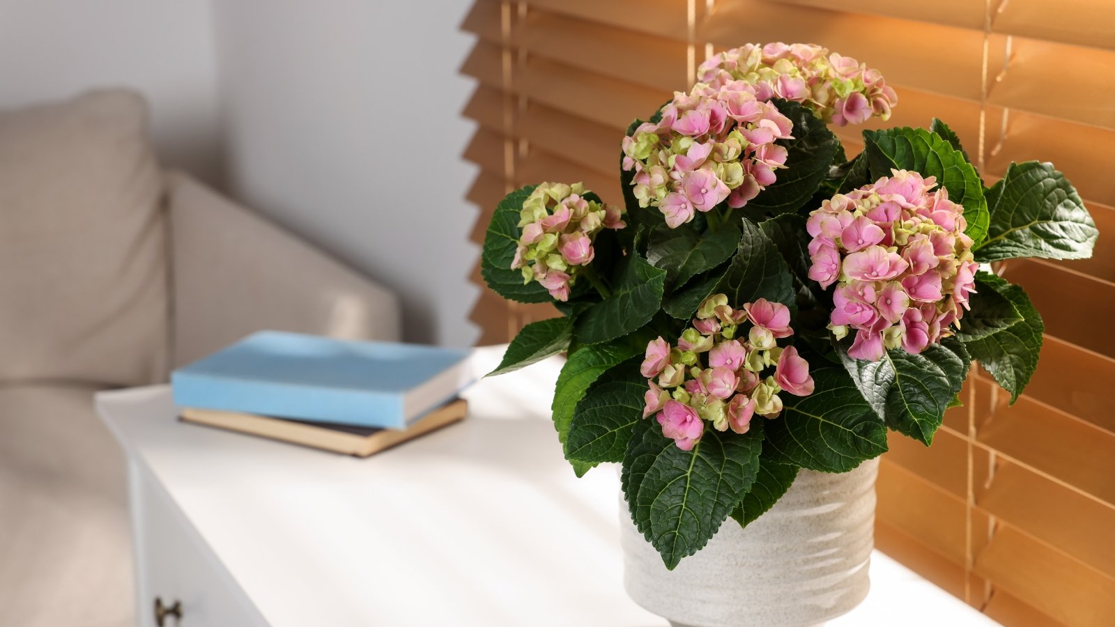 A beautiful arrangement of round pink flowers adorned with lush green leaves, placed on a simple wooden table next to an open book. The warm, natural light filtering through the window accentuates the delicate textures and colors, creating a tranquil scene.