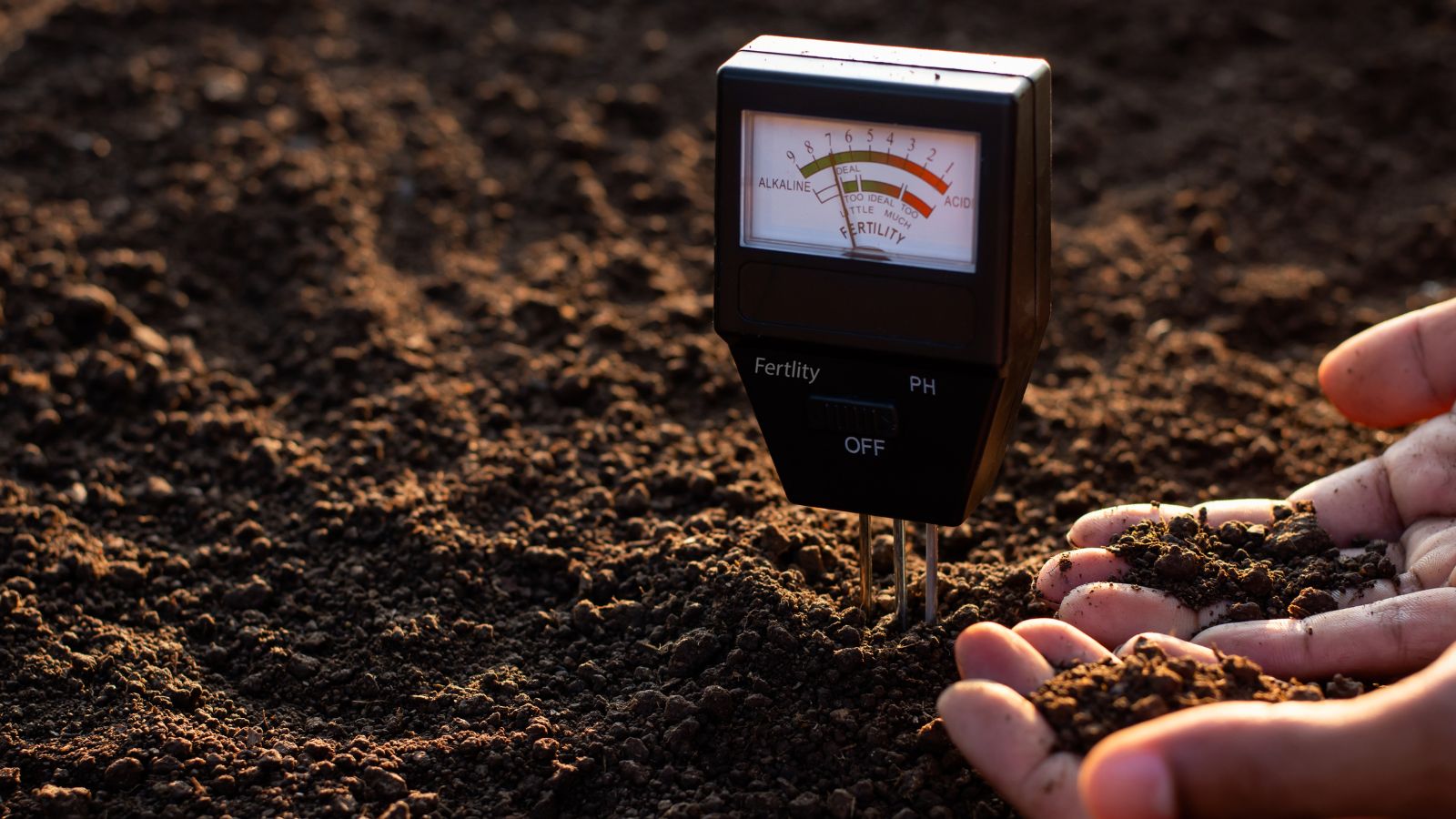 A focused shot of a man holding his hand and inspecting it while checking the acidity of nutrient-rich soil, with a soil meter in the background, located in an outdoor field during the afternoon.