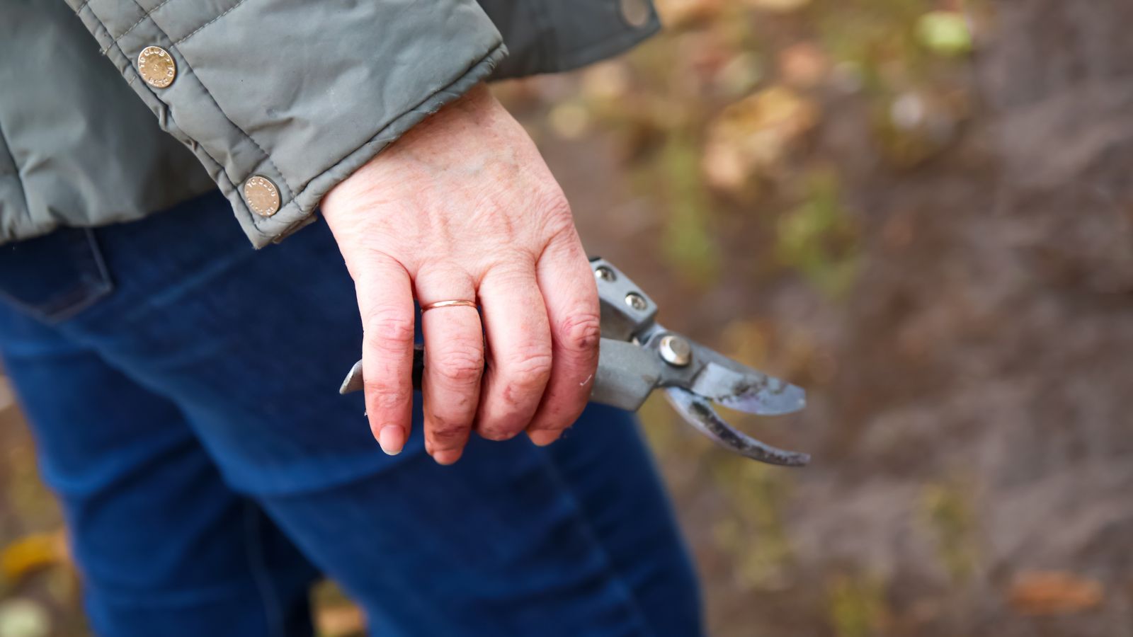 A person wearing a green jacket and denim blue pant holding pruning shears in one hand getting ready to cut plants