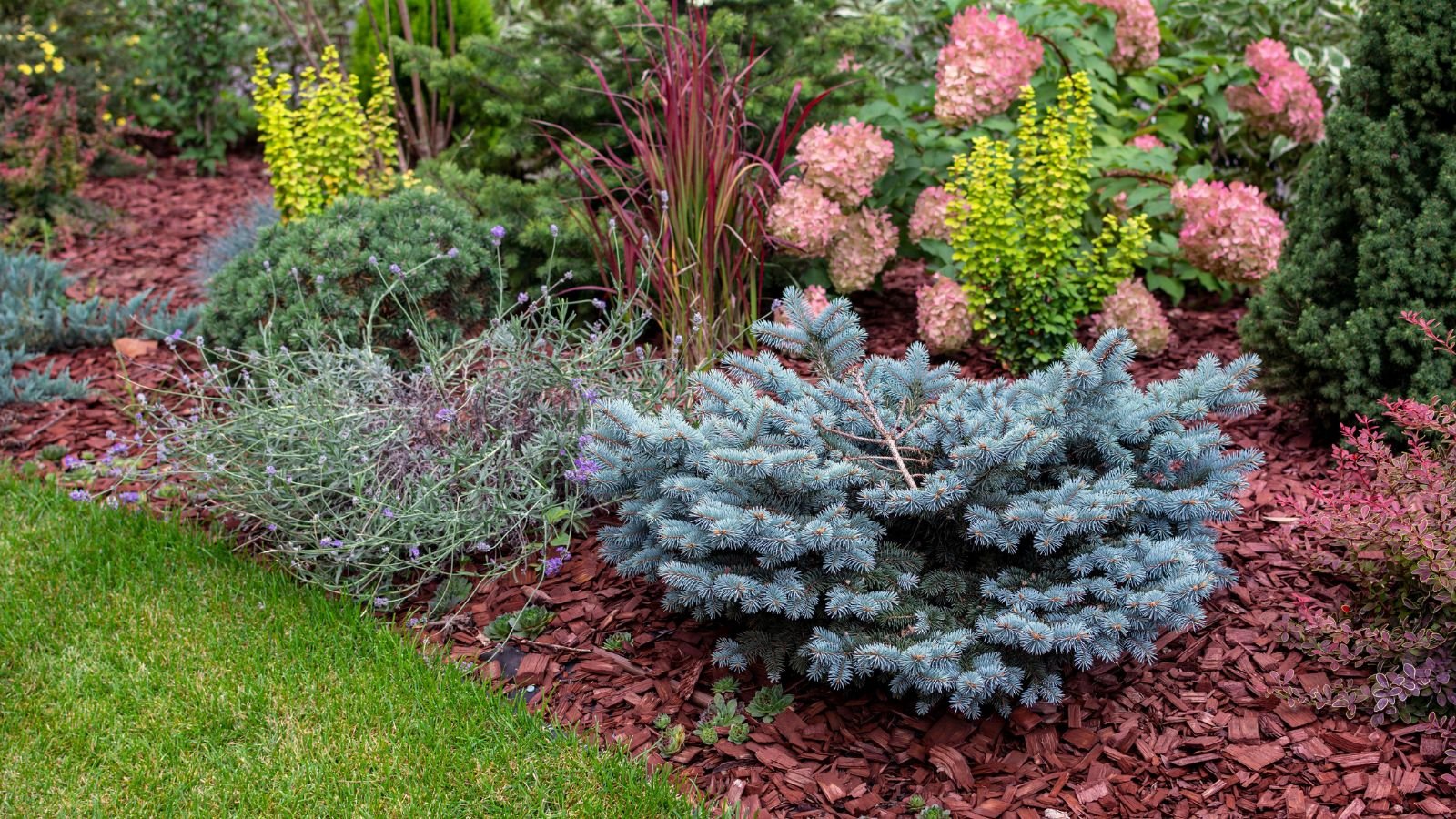 A photo of a flower and plant garden using wood chips as mulch, with various plants and flowers in a well-lit outdoor area