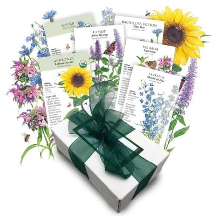 Bee Happy Seed Gift Set