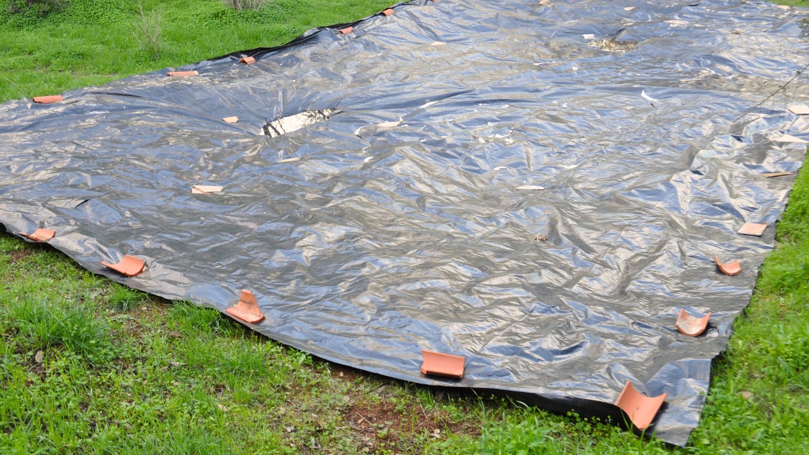 The black tarp covers the soil, creating a smooth, dark surface that helps suppress weeds.
