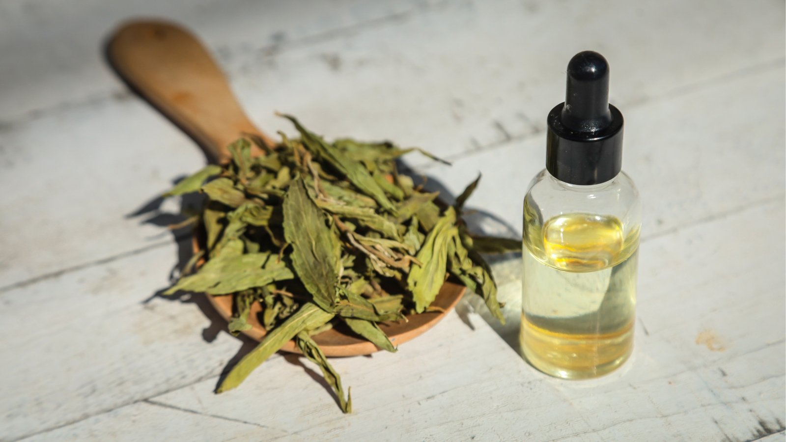 A sizable wooden spoon, adorned with dried stevia leaves, sits gracefully atop a white wooden table. Next to it, a glass bottle filled with stevia extract stands, promising sweetness in every drop.