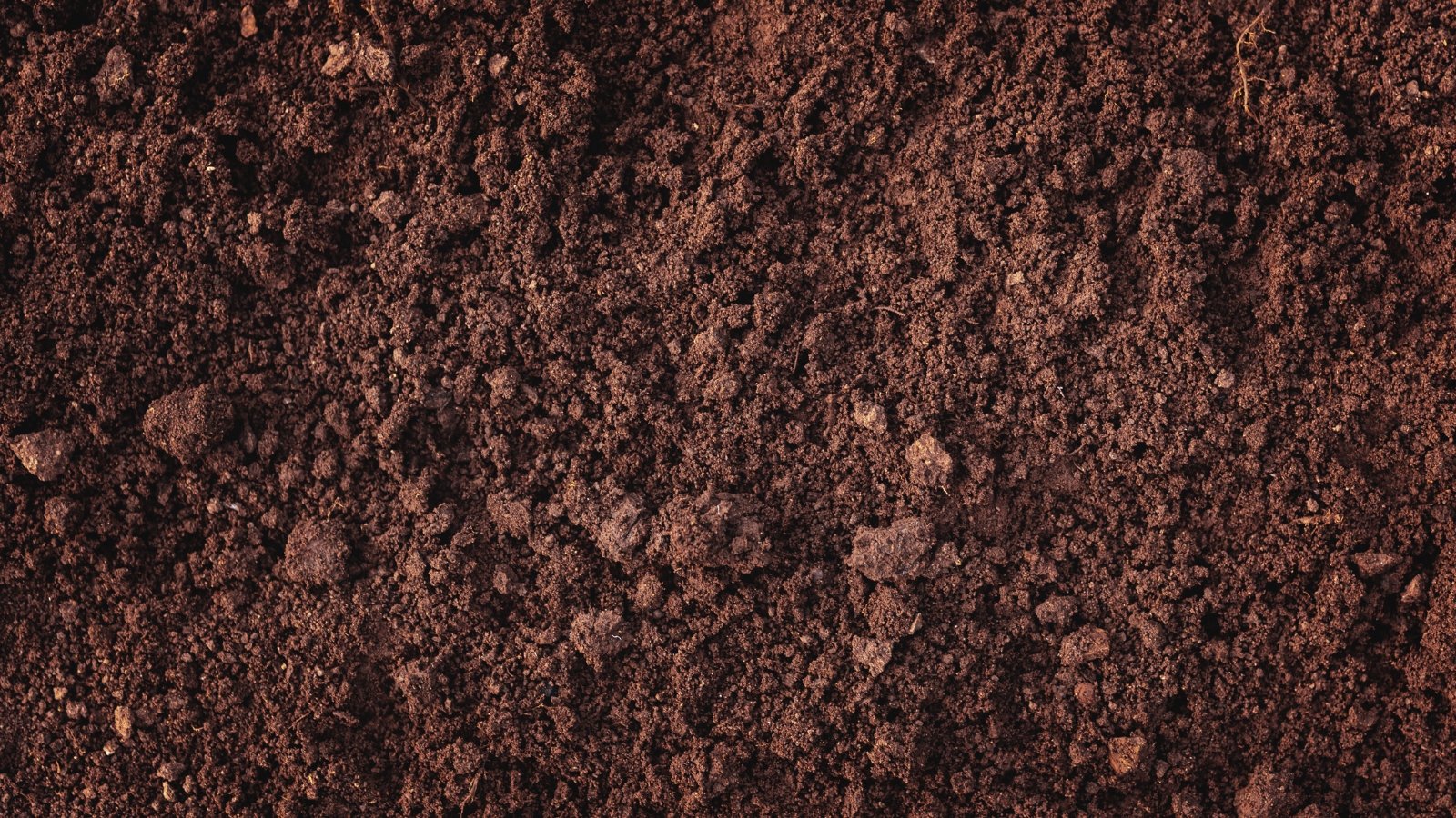Rich, brown loamy soil teeming with nutrients, perfect for cultivating a vibrant garden. Its texture is smooth and crumbly, providing an ideal environment for plants to root deeply and thrive abundantly.