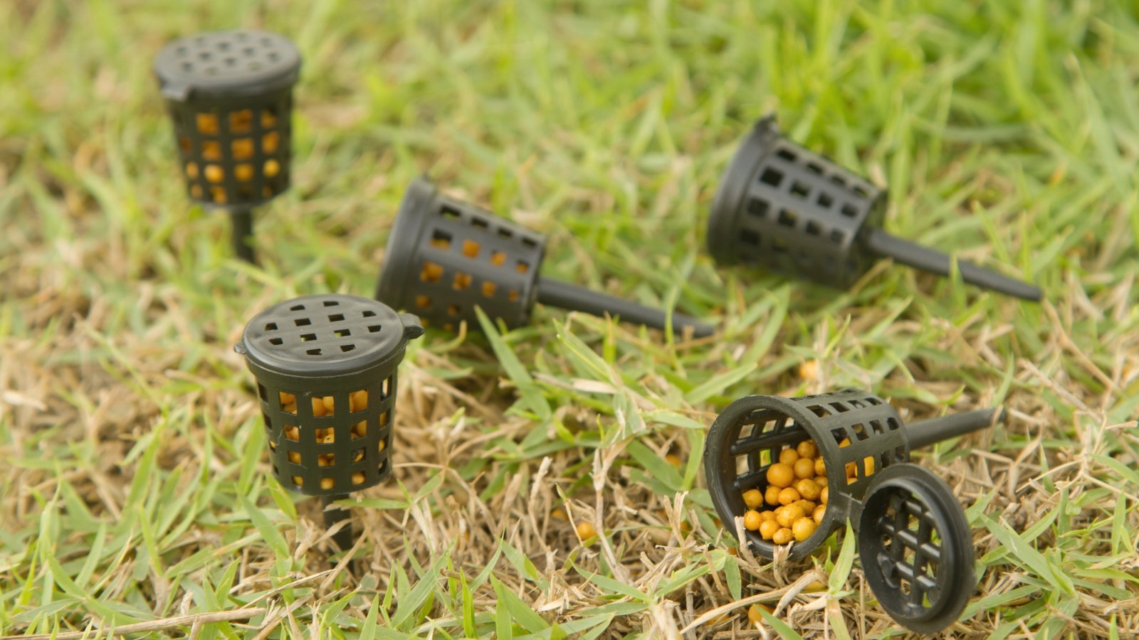 Black slow-release fertilizer baskets filled with yellow granules, contrasting against the dark hue. Some baskets are securely pinned to the earth with green grass, blending harmoniously with nature, while others rest casually atop the lush greenery, awaiting dispersal.