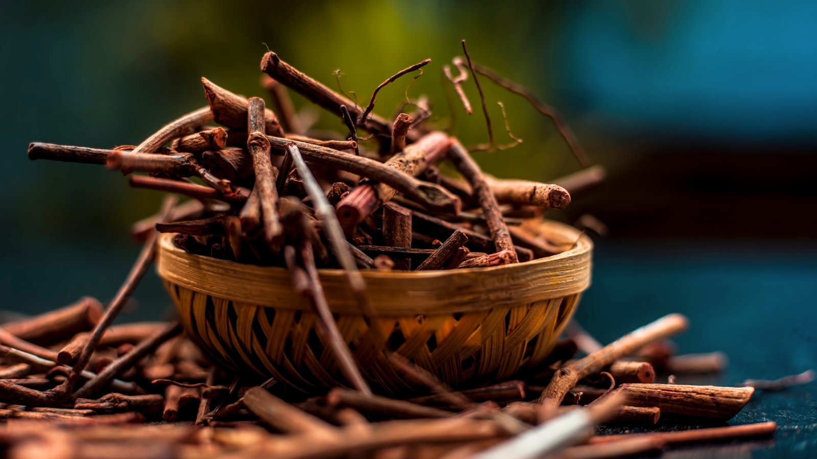 The slender, fibrous, reddish-brown roots of Dry Rubia tinctorum arranged in a wooden bowl against a blurred background.
