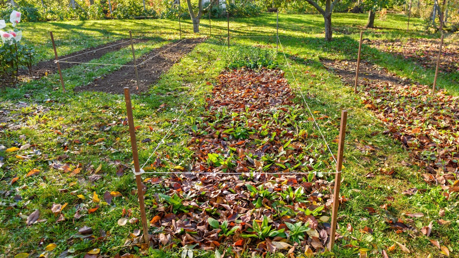 A long garden bed covered with brown and orange foliage, bordered by metal stakes and surrounded by lush grass.