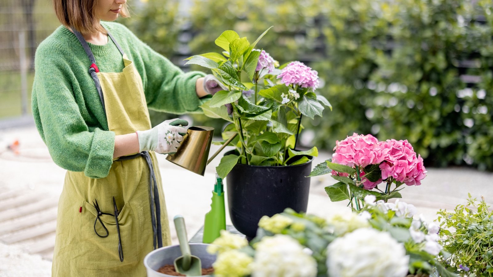 A gardener dressed in a green apron, gently tending a collection of colorful flowers, displaying bright blue and pink petals. The surrounding foliage is lush and green, with light illuminating the scene and reflecting the joy of nurturing nature.
