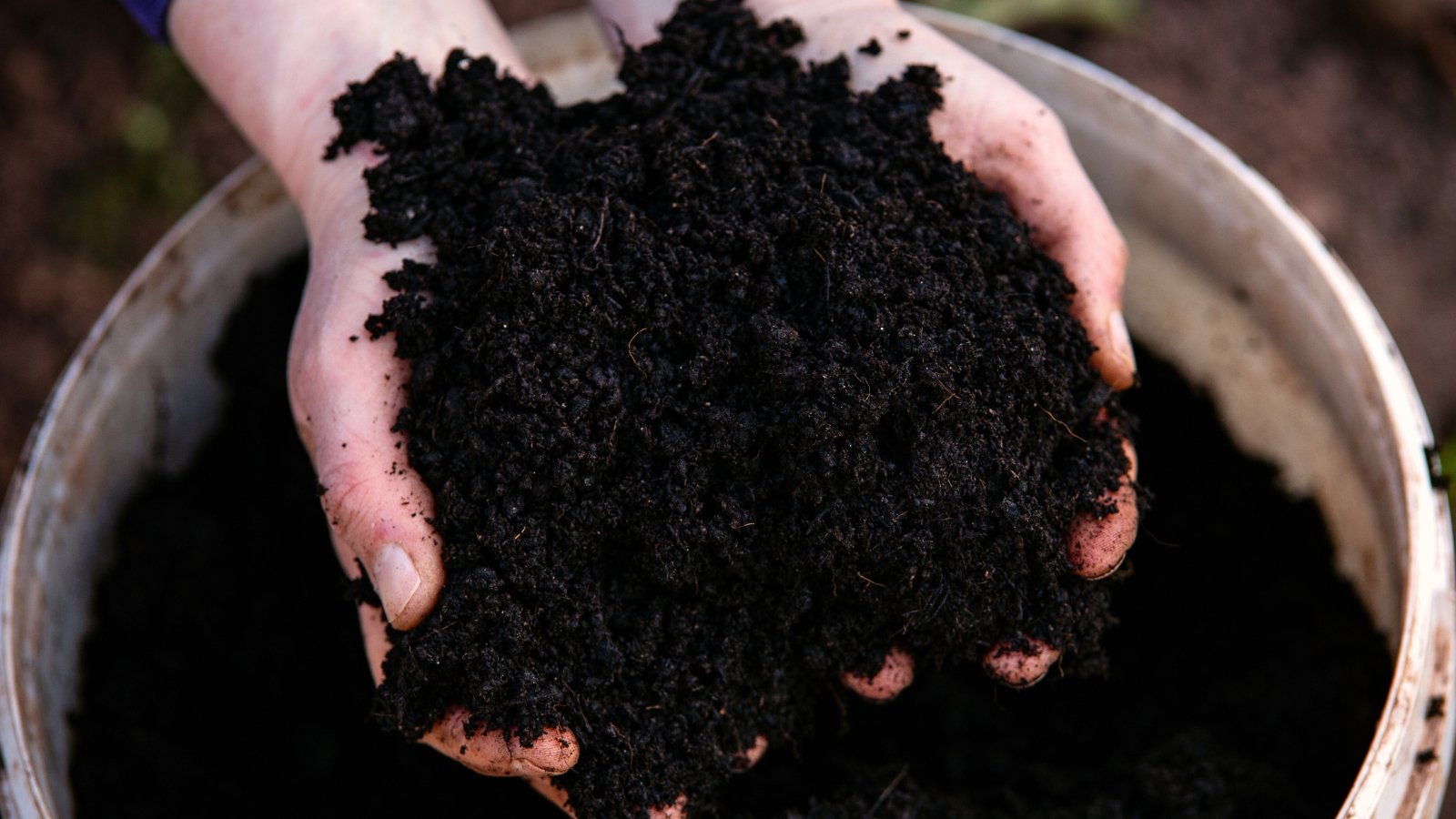 A hand holding rich black soil in a container, fingers gently gripping the dark, fertile earth, ready for planting or nurturing new growth.