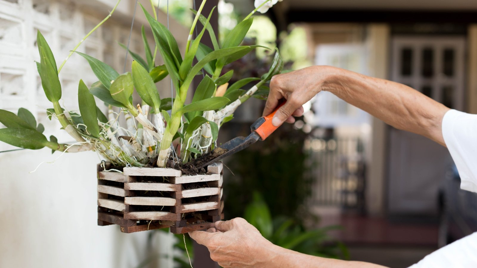 In one hand is a hanging wooden flower pot, filled with long green leaves and thin stems, some of which also have tiny flowers sprouting from them.
