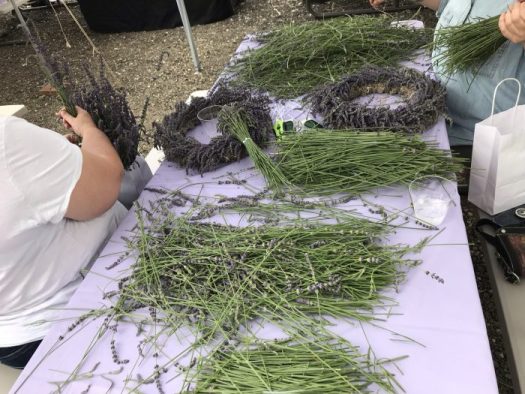 You need a lot of lavender to make a wreath.