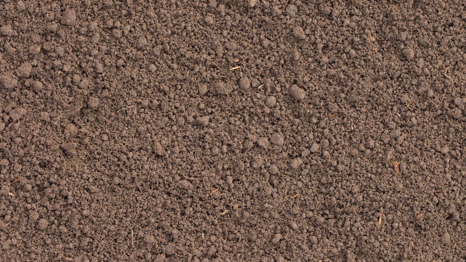 A patch of rich, brown soil lies loosely packed, ready for planting. Its earthy texture suggests fertility, promising a nurturing environment for seeds to take root and thrive in the garden's embrace.