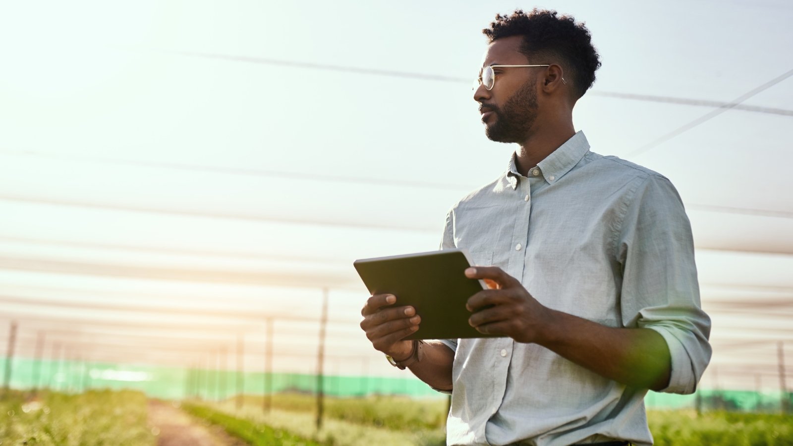 A man holding a clipboard, standing in a field with rows of plants covered by protective fabric, observing and taking notes under a partly sunny sky.