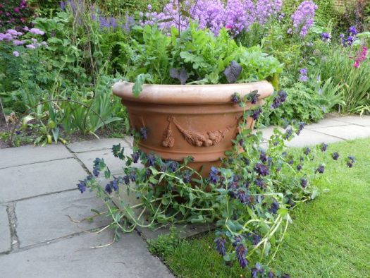 Seen at Sissinghurst