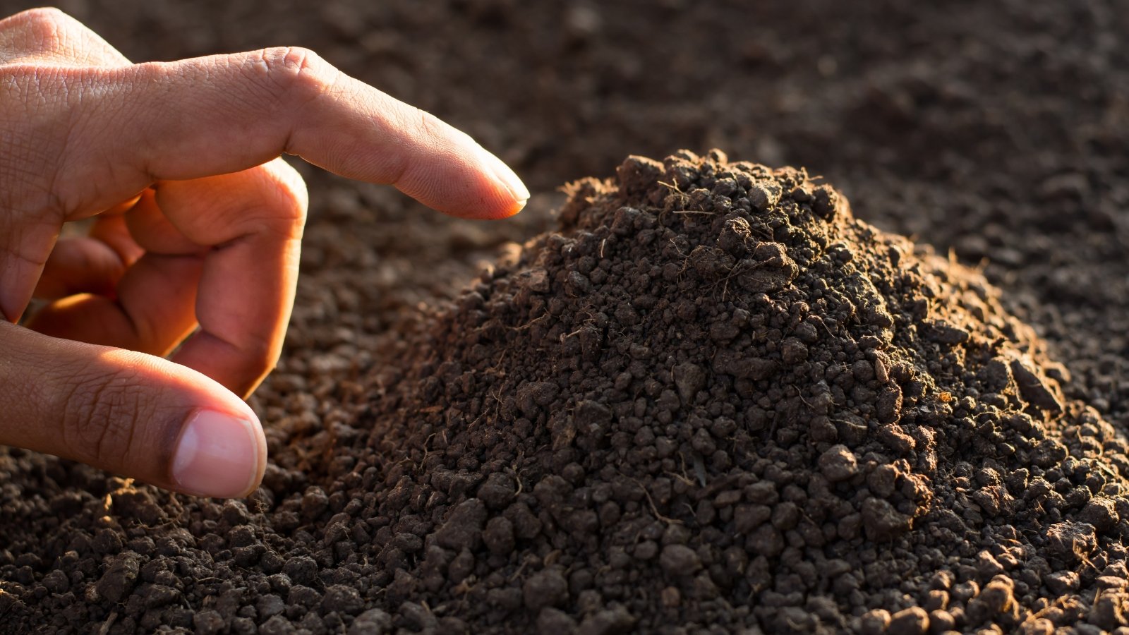 An index finger points towards a mound of fertile, rich brown soil, bathed in the gentle warmth of sunlight.