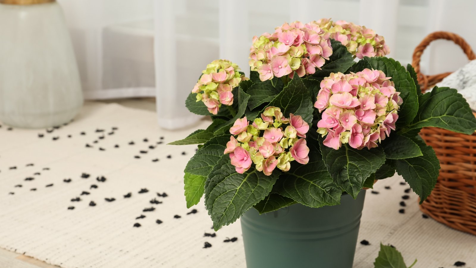 A welcoming setting with a cluster of delicate pink and cream flowers resting on a soft white surface, complemented by bright green leaves. The light coming through the nearby blinds casts soft shadows, enhancing the tranquil atmosphere inside.