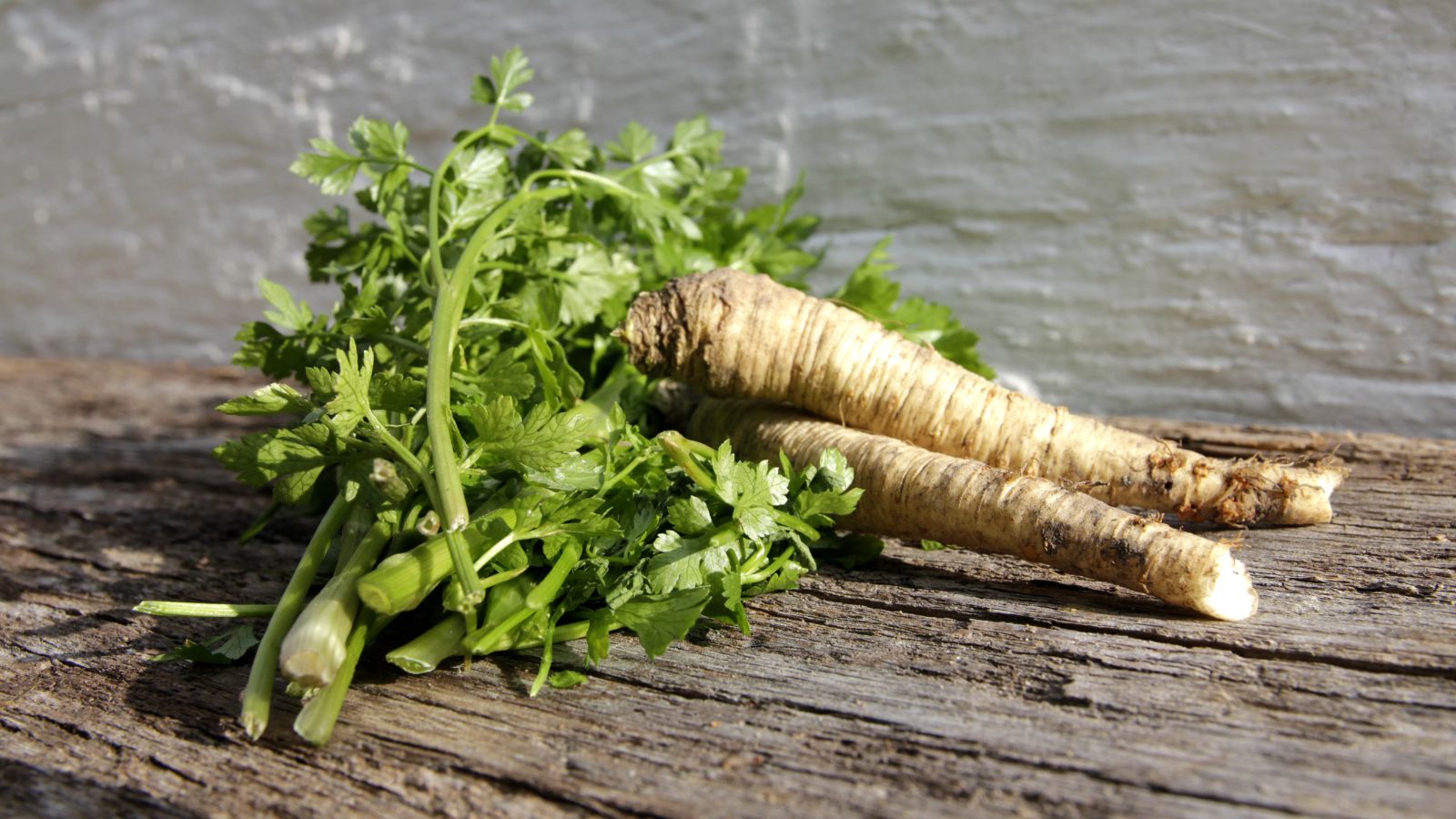 Small root vegetables on top of a wooden surface that showcases hair roots and a slender body.