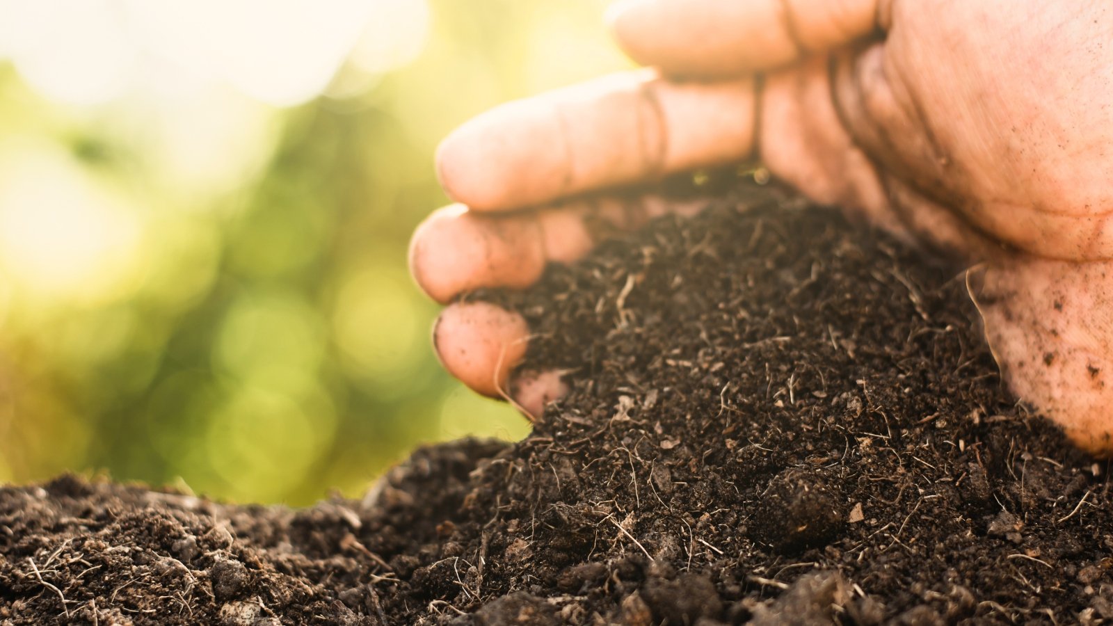 A close-up of a hand tending to the compost soil, rich and dark, teeming with decomposing organic matter.