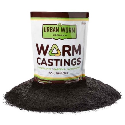 Urban Worm Company's Humble Worms