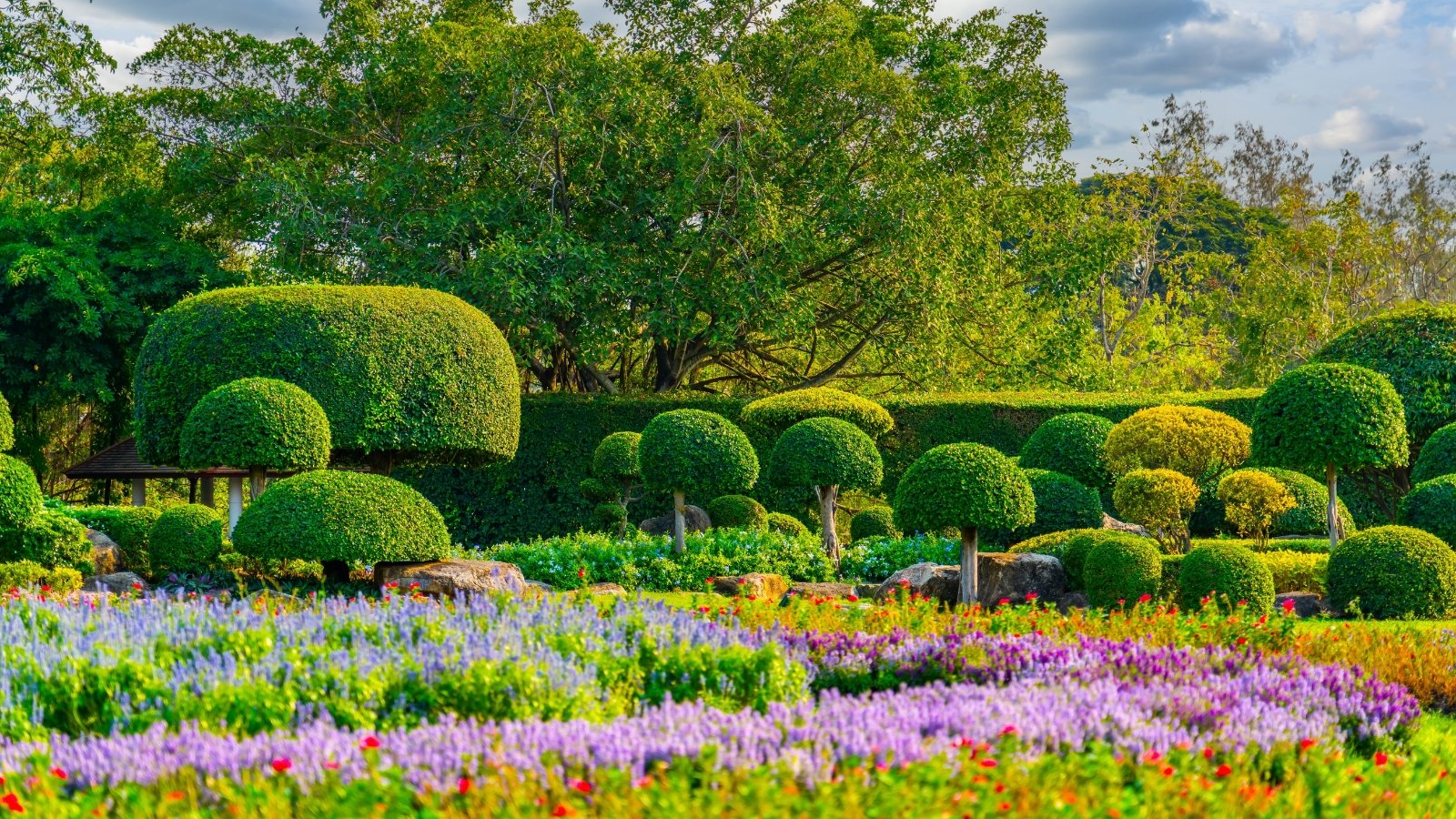 A manicured garden with round and sculpted green shrubs, featuring smooth foliage and vibrant flower beds, creating a colorful and symmetrical layout.