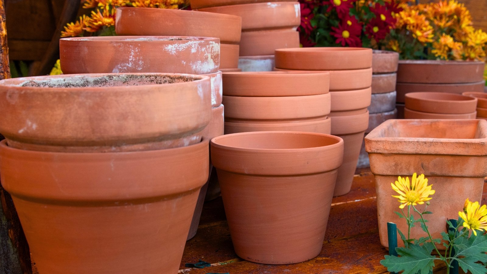 Close-up of terracotta flower pots in various sizes and shapes on a balcony.