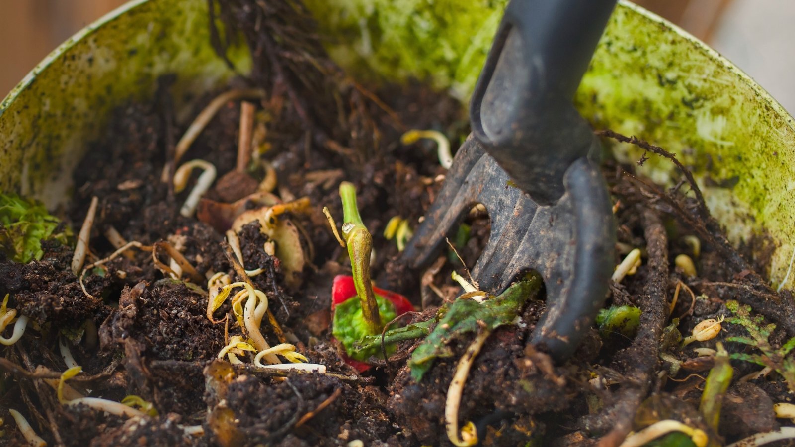 Close-up of a plastic trowel stuck in a compost heap inside a green plastic bin.