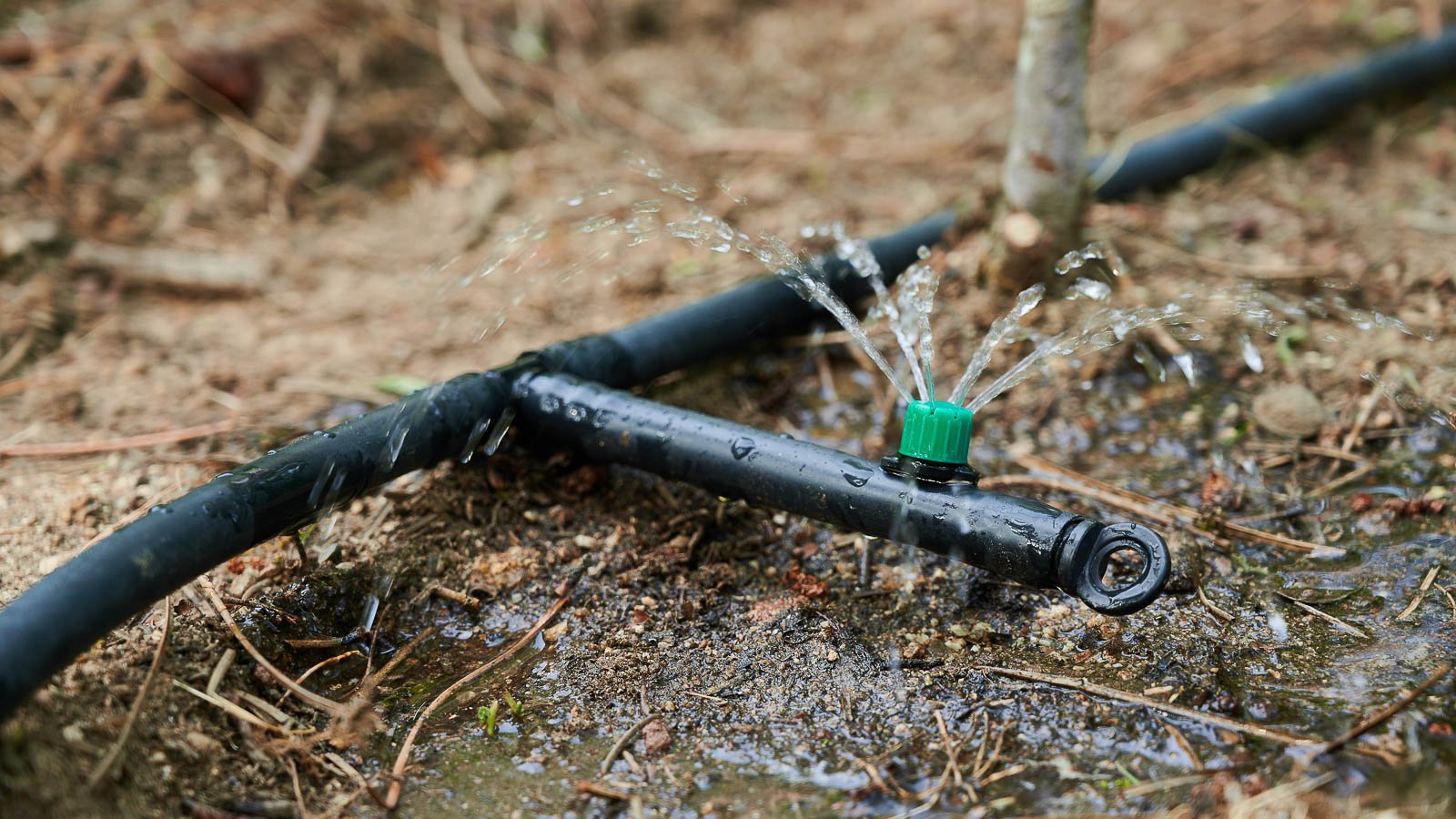 Sprinkler drip irrigation system watering soil in the garden.