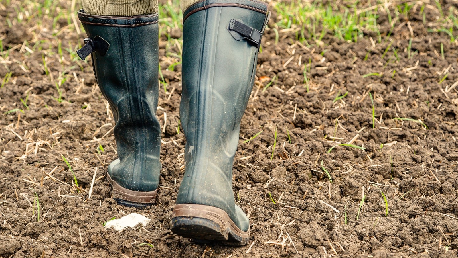 Un granjero con botas de goma verdes camina por un campo recién sembrado, dejando ligeras huellas en el suelo.