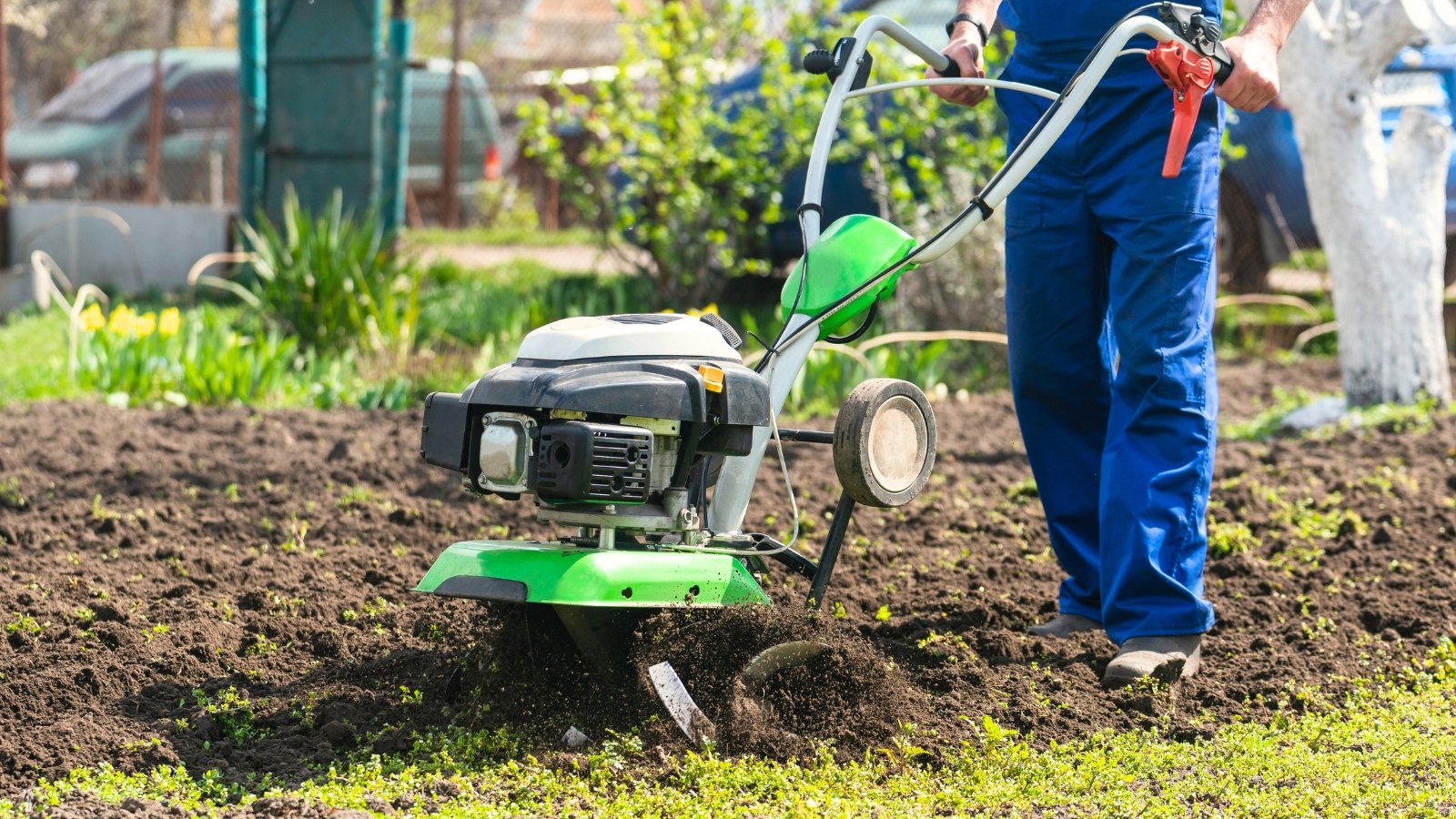 The farmer uses a motorized cultivator, a power tiller with rotating blades, to break up and aerate the soil, preparing it for planting by turning over the earth and removing weeds.
