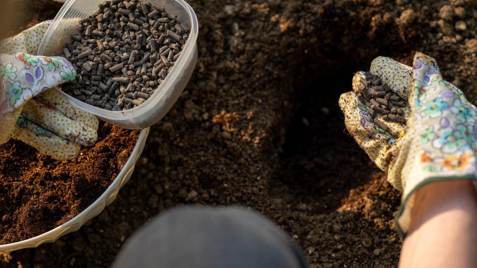 A pair of gloved hands is seen adding granular brown soil amendments to the freshly tilled soil, preparing the ground for planting.