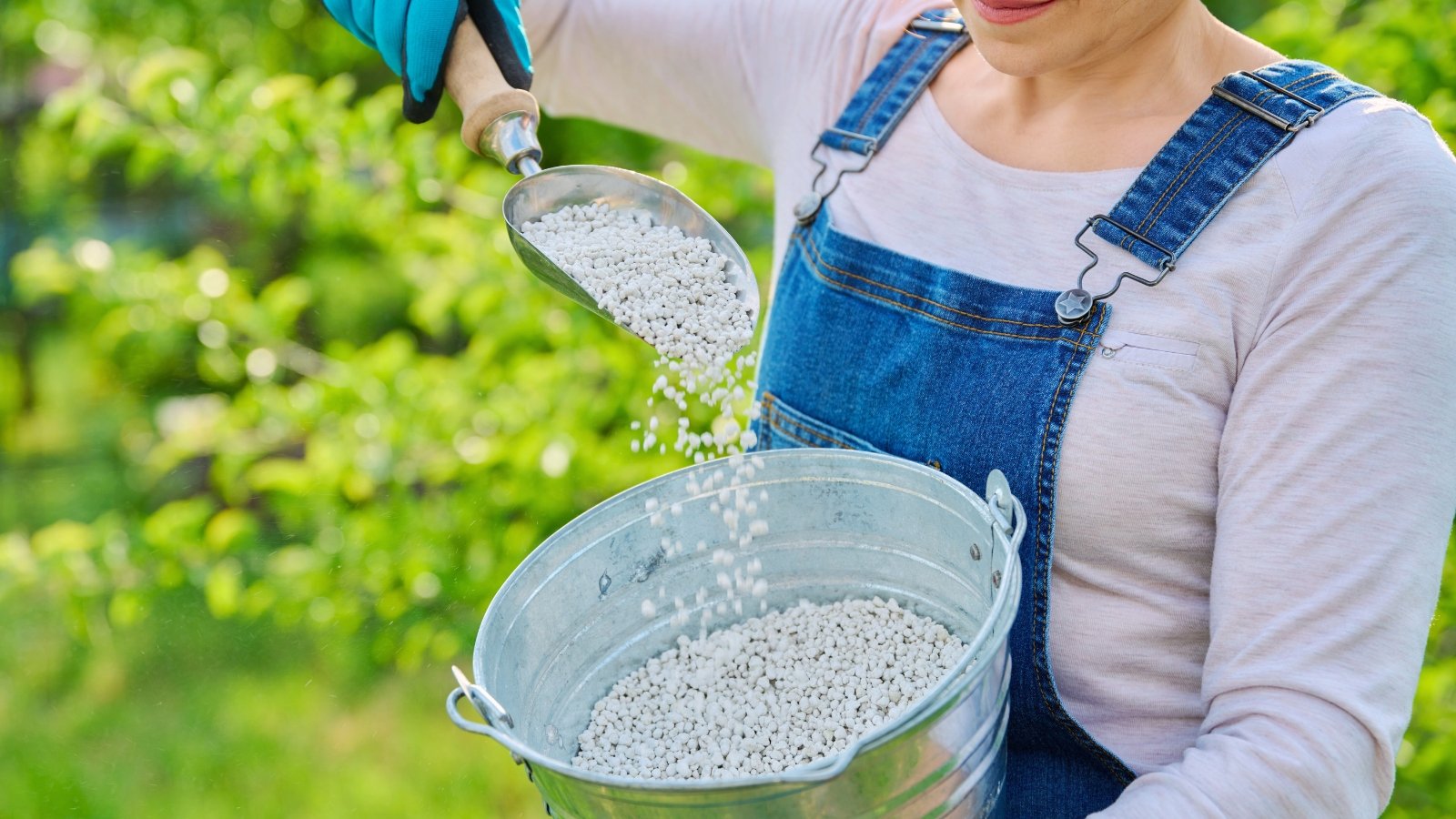 A woman in denim overalls holds an iron bucket full of white granular fertilizer and a metal shovel with a wooden handle, in a garden.