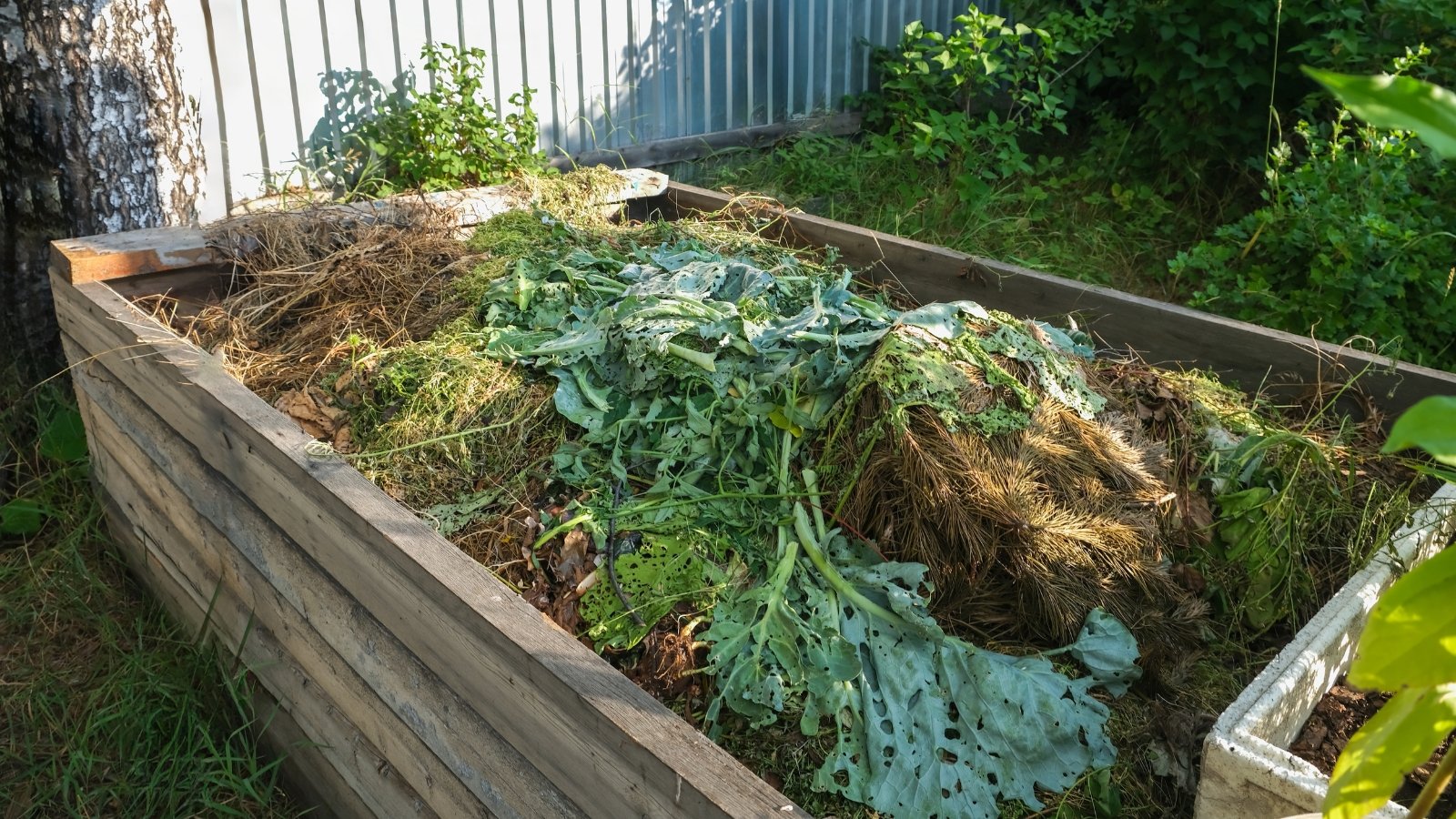 Large wooden container containing layers of organic matter, including grass clippings, food scraps and dried leaves, located in a back garden.