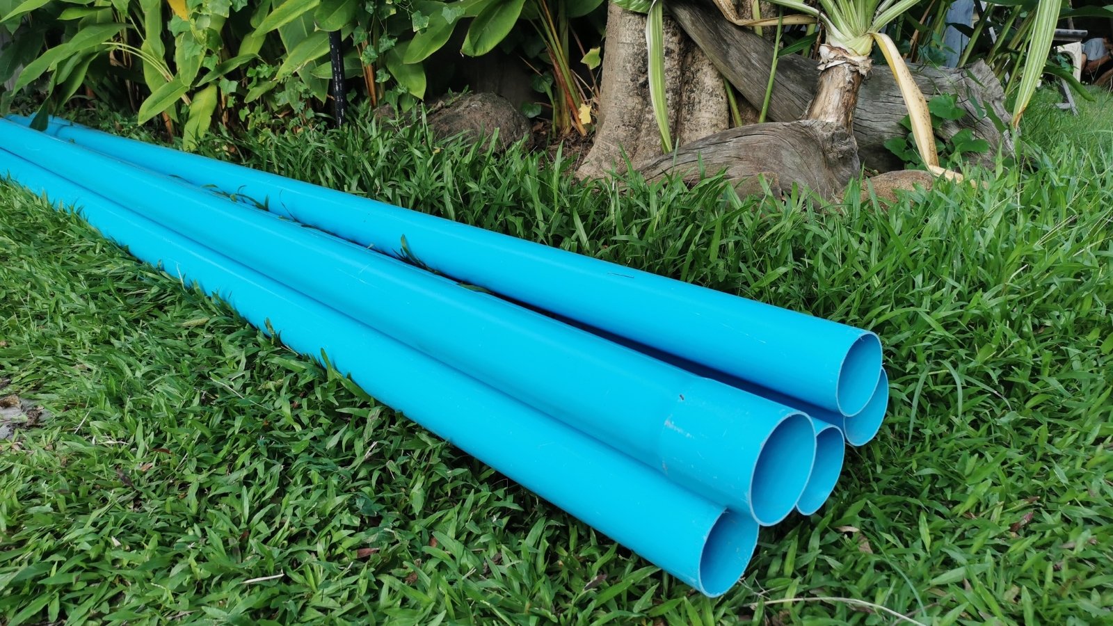 Four bright blue PVC pipes carefully placed on a patch of green grass near a garden area.