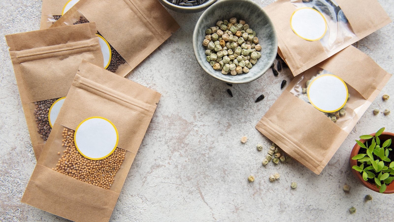 Brown paper seed packets, some opened to reveal small, round seeds, are scattered over a textured, light stone background alongside a small bowl and green garnish in the corner.