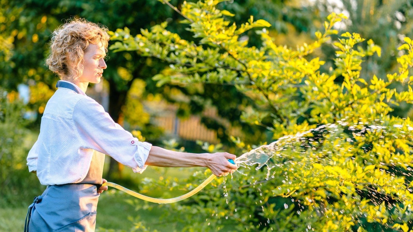 Close-up of a young woman watering a garden with a hose. The woman has curly white hair and is wearing a white shirt and blue apron. She waters the trees with a yellow hose.