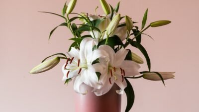 Photo Floral arrangement