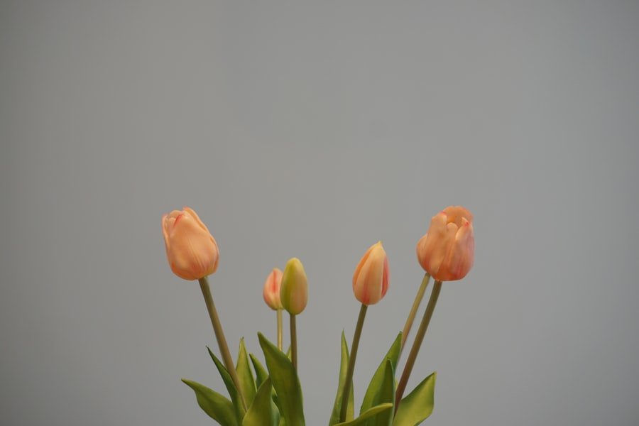 Photo Floral arrangement